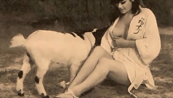 Classic Vintage Film Featuring Taboo Content With Dog And Female Masturbation